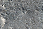 Inverted Features in Utopia Planitia