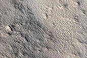 Concentric Depressions on Pavonis Mons