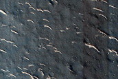 Utopia Planitia