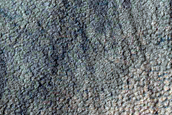 Scalloped Depressions in Malea Planum