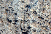 Phyllosilicate-Rich Crater Ejecta near Meridiani Planum