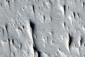 Raised Curvilinear Ridges