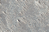 Slopes of Arsia Mons