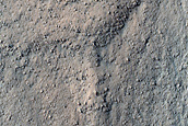 Gully Landforms near Argyre Region