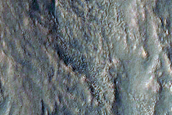 Gullies Associated with Viscous Debris Apron