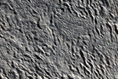 Sample in Phlegra Montes