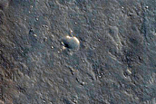 Sample in Utopia Planitia