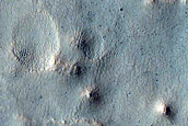 Gully Monitoring