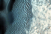 Monitoring USGS Dune Database 0419-449