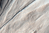 Gully Monitoring