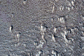 Lava-Crater Interaction in Daedalia Planum