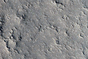 Athabasca Valles Distributary