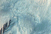 Gullies in Southern Hemisphere Crater