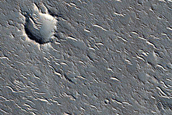 Sample in Utopia Planitia