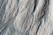 Gullies in Crater in Nereidum Montes