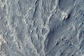 Complex of Intersecting Sinuous Ridges