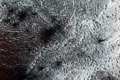 Gully Monitoring