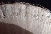 Gully Monitoring