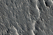 Curvilinear Ridge in Isidis Planitia