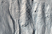 Gully Monitoring