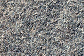Promethei Lingula