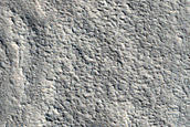 Channel and Fan in Northern Mid-Latitudes