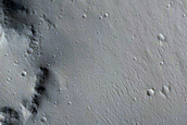 Lycus Sulci