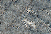 South Polar Region