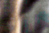 USGS Dune Database Entry Number 2608-626