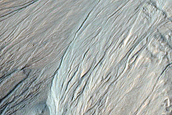 Gully Monitoring