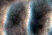 USGS Dune Database Entry Number 1512-650