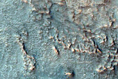 OMEGA Olivine Detection