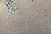 Layers in South Polar Layer Deposit
