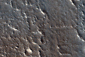 Terrain in Utopia Planitia