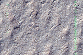 Ultima Lingula