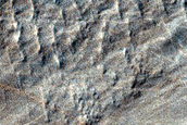 Hellas Planitia Terrain Sample