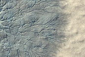 South Polar Cracked and Gullied Site