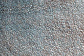 Gully Monitoring