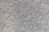 Large Gully in Charitum Montes