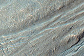 Gully Monitoring