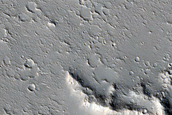 Dendritic Ridges in Channel Levees