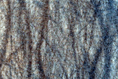 Hellas Planitia