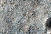 Argyre Planitia Secondary Crater Fields