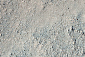Gully in Lowell Crater
