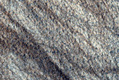 Hellas Planitia