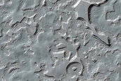 South Polar Layered Deposits Swiss Cheese Terrain