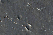 Utopia Planitia