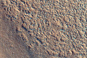 Unit Contact in Utopia Planitia