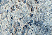 Meridiani Planum Etched Terrain Layers