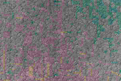 USGS Dune Database Entry Number 3259-763